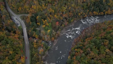Drone View of Fall Colors Stock Footage 274734514