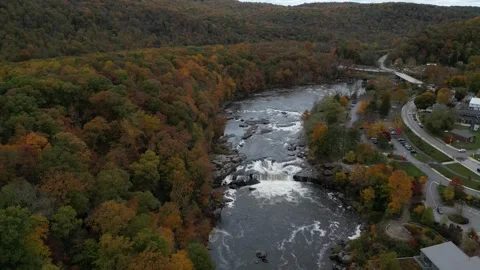Drone View of Fall Colors Stock Footage 274734573
