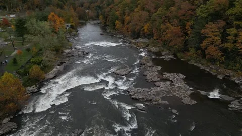 Drone View of Fall Colors Stock Footage 274734980