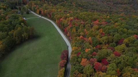 Drone View of Fall Colors Stock Footage 274734998