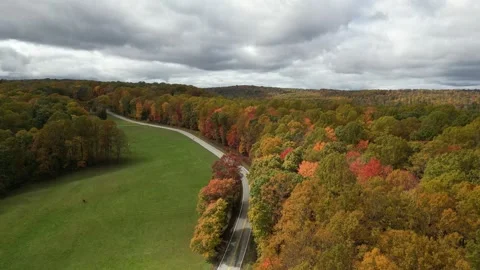 Drone View of Fall Colors Stock Footage 274735003