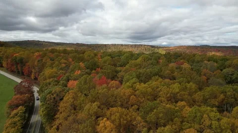 Drone View of Fall Colors Stock Footage 274735021