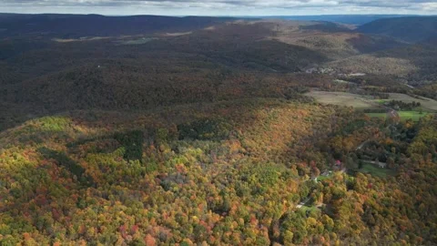 Drone View of Fall Colors Stock Footage 274735039