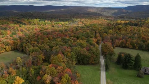 Drone View of Fall Colors Stock Footage 274735040