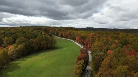 Drone View of Fall Colors Stock Footage 274735152