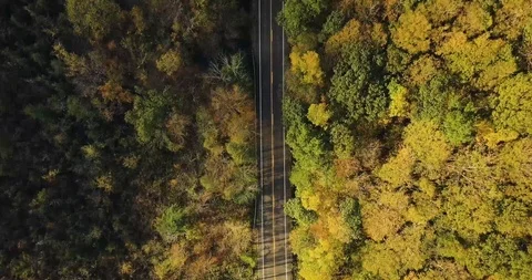 Drone view of fall foliage and road near Camilus 動画素材 96478219