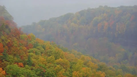 Drone view of fall forest with colorful tree canopy in Letchworth State Park, Ne Stock Footage 304225173