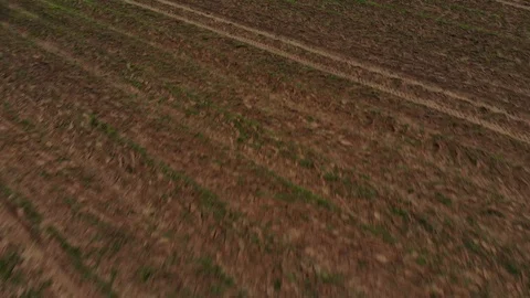 Drone view of farm fields Video stock 93105140