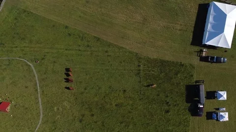 Drone view of farm Video stock 198941017