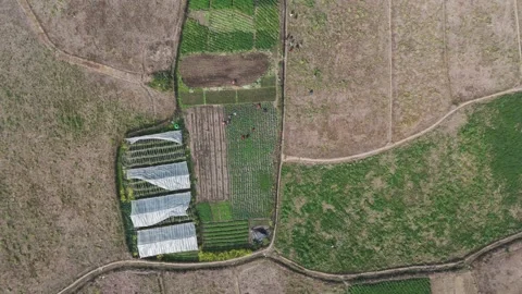 Drone View of Farming in Remote Nepal Village Stock Footage 332759167