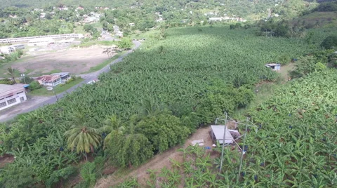 Drone view of field  Stock Footage 66334005