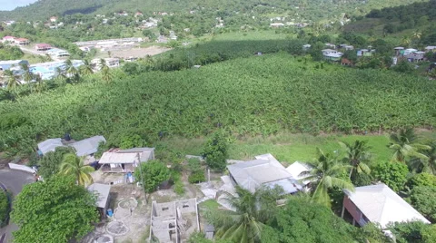 Drone view of field Stock Footage 66334171