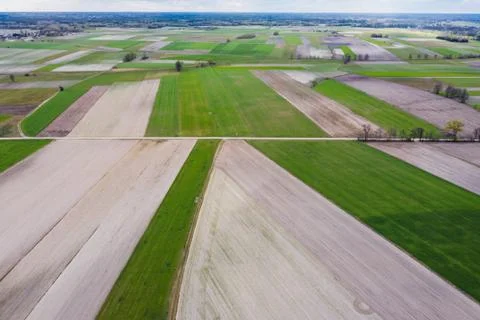 Drone view on a field patchwork in Mazowsze region of Poland Fotos de archivo
