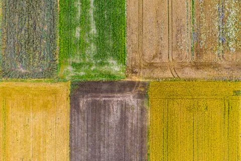 Drone view of fields Stock Photos