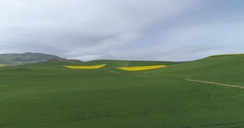 Drone view of fields in Spain 4K Stock Footage 111837453