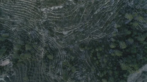 Drone view of fields in Spain 4K Stock Footage 111963542