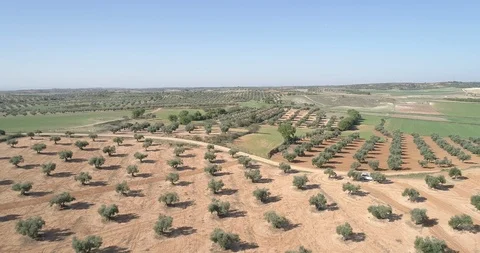 Drone view of fields in Spain 4K Stock Footage 112454738
