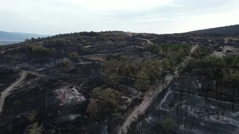 Drone view of fire during dry season. 스톡 동영상 158901239