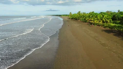 Drone view, flight above coastline and beach close to the evergreen forest Stock Footage 269931328