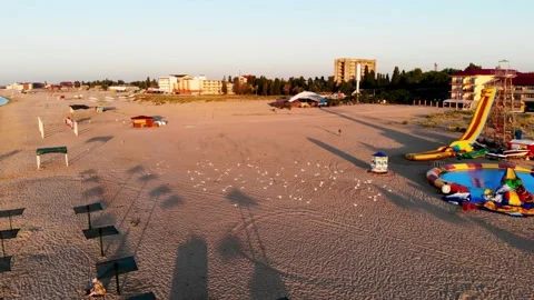 Drone view of a flock of seagulls near the sea. Stock Footage 169093373
