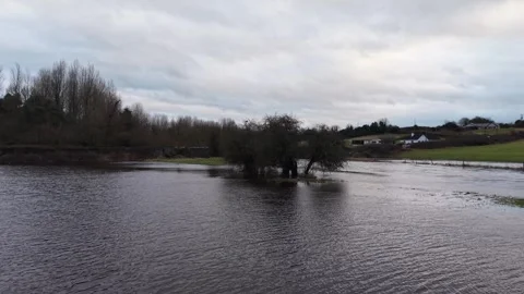 Drone View of Flooded Meadow with Trees Under Overcast Sky Stock Footage 332504873