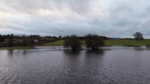 Drone View of Flooded Meadow with Trees Under Overcast Sky Stock Footage 332504879