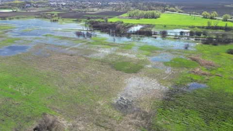 Drone view of flooded spring fields with green grass and bare shrubs Stock-Footage 348170910