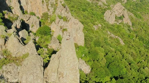 Drone view of flying bird of prey. Griffon vulture. Stock Footage 120729970