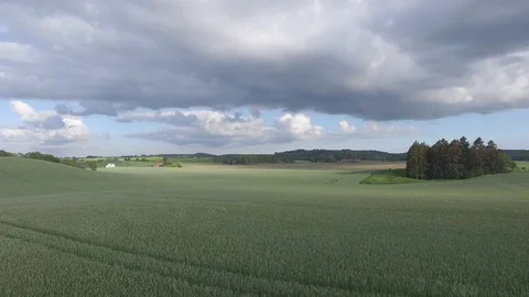 Drone view: flying over beautiful wheat fields in the rural countryside Stock Footage 108993426
