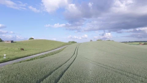Drone view: flying over beautiful wheat fields in the rural countryside Stock Footage 108993555