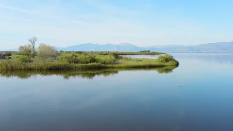 Drone view of flying over lake with shore of green grass, scenic nature lands Stock Footage 121051970