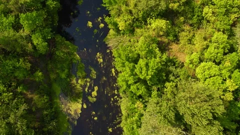 Drone View Flying Over The Orel River Video stock 180969197