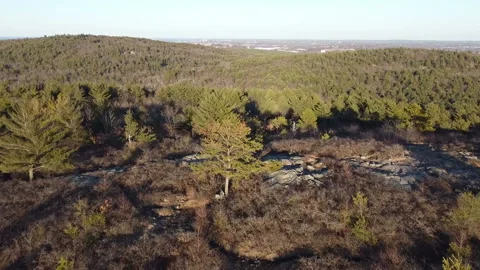 Drone View Flying Over Rocky Summit and Forest Video stock 236434986