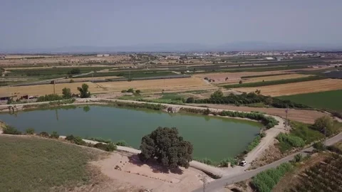 Drone view. Flying over a swamp in the countryside Stock Footage 281453129