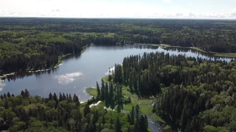 Drone view flyover of lake and forest in Manitoba in the summer Stock Footage 203232408