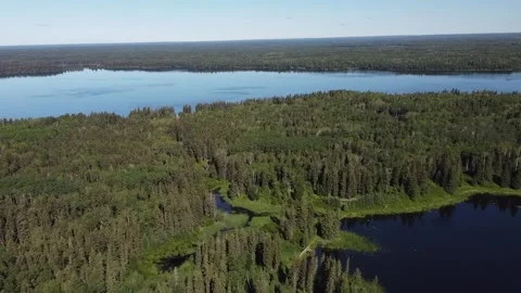 Drone view flyover of lake and forest in Manitoba in the summer Stock Footage 203233410
