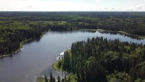 Drone view flyover of lake and forest in Manitoba in the summer Stock Footage 203234104