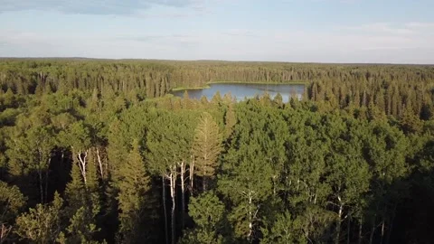 Drone view flyover of lake and forest in Manitoba in the summer Stock Footage 203234400