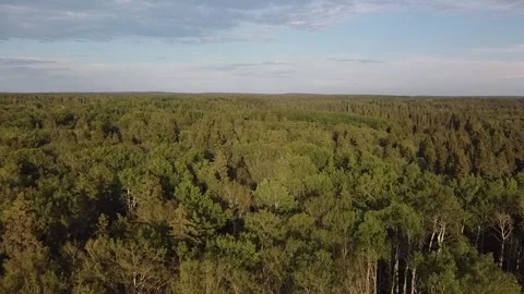 Drone view flyover of lake and forest in Manitoba in the summer Stock Footage 203234461