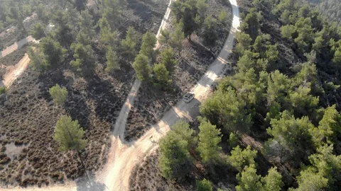 Drone view Folows Van and Dog running on Dirt Road and Pine Forest Stock Footage 121943881