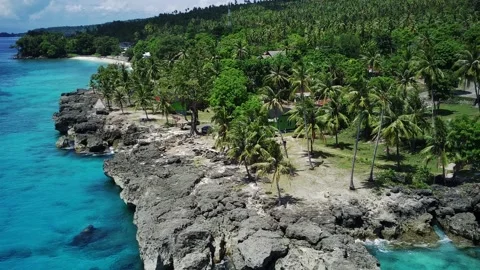 Drone view Stock Footage 206785651