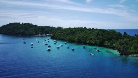 Drone view Stock Footage 247511566