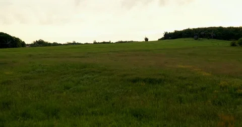 Drone view footage flight right close to the grass in the park Pirogovo Stock Footage 111873596