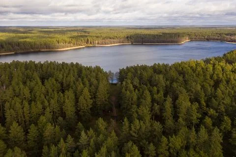 Drone view of footpath through a forest leading to a lake Stock Photos
