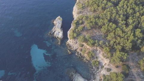 Drone view of forest and cliffs with turquoise water at sunrise Stock Footage 101278272