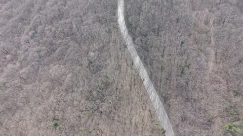 Drone view of forest and curved road in countryside landscape Vídeos de archivo 331424844