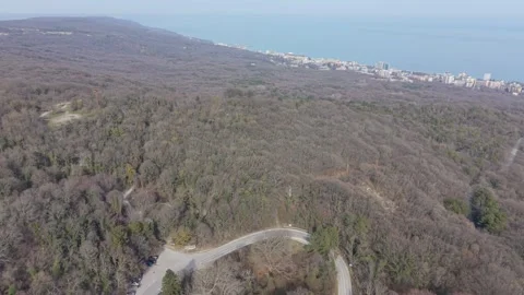 Drone view of forest and distant town under clear sky Vídeo Stock 331424810