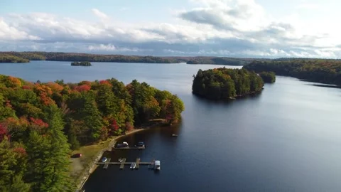 Drone view of a forest and lake in fall autumn season 4k Stock Footage 314371217