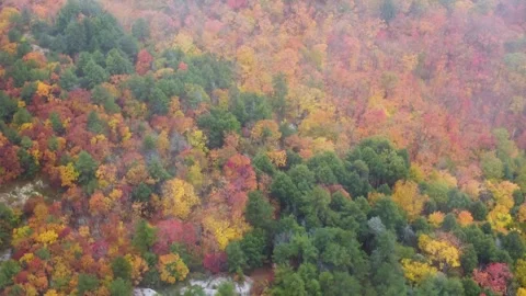 Drone view of a forest and mountain in fall autumn 2 season 4k Stock Footage 314371359