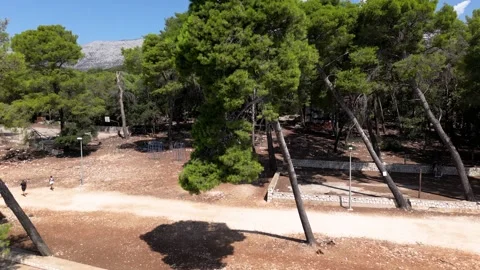 Drone View of Forest and nature on Badija Croatian Island Video stock 255981536